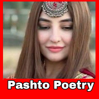 Pashto Poetry Love-مینه شاعري