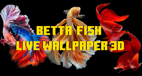 Betta Fish 3D Wallpapers