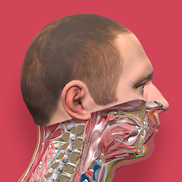 Icon image Pirogov Anatomy