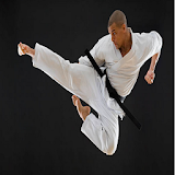 Karate training icon