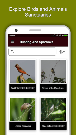Screenshot of Trinidad and Tobago Travel & E