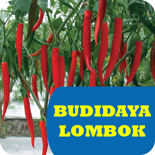 Budidaya Lombok Unggul  Icon