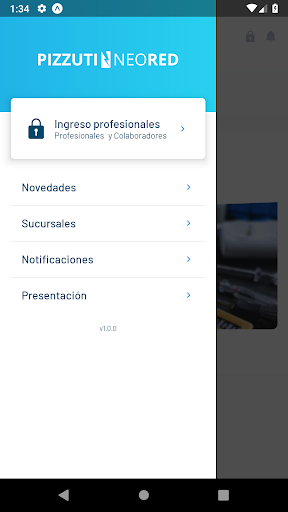 Pizzuti::Neored Screen 2