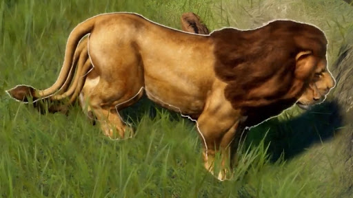 Hints of Planet Zoo Full Game Levels