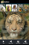 screenshot of Zooface - GIF Animal Morph