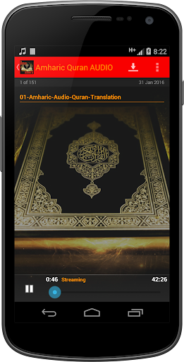 Amharic Quran AUDIO Screen 2