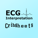 ECG Interpretation Cribsheets icon