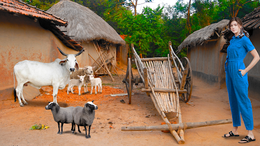 Village Photo Editor - Frames