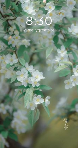 Wallpaper Plaza HD Albums