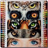 How to Draw Animal Eyes icon
