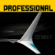 Flight 737 - MAXIMUM Descarga en Windows