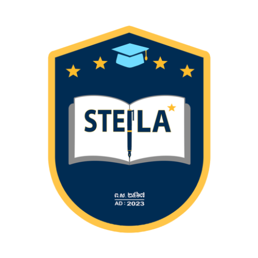 STEILA INTERNATIONAL SCHOOL logo
