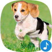 Appp.io - Puppy Sounds