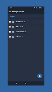 Encrypt Decrypt File Pro APK (Patched/Full) 4