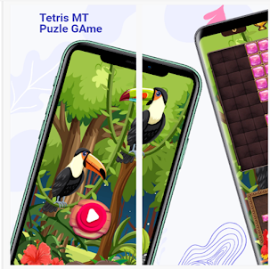 Tetris MT