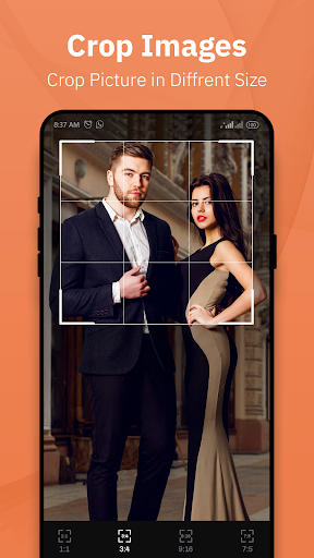 Gallery- photo gallery album