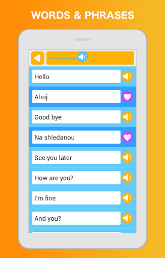 Screenshot of Learn Czech Language