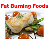 Fat Burning Foods ! icon