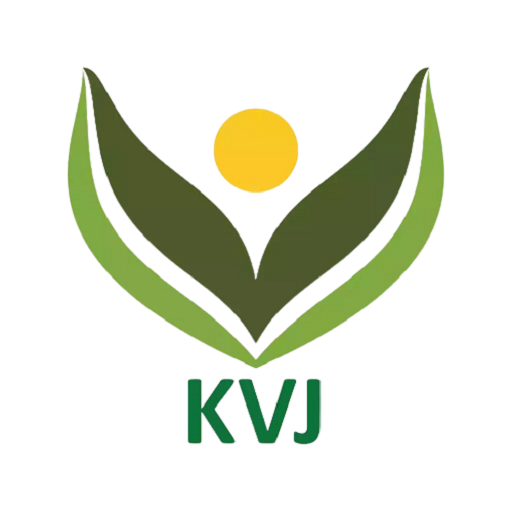 VIN Mobile logo