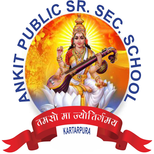 Ankit Public Sr. Sec. School logo