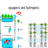 Aquaponic And Hydroponic icon