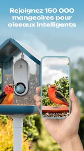 Bird Buddy: Tap into nature – Applications sur Google Play