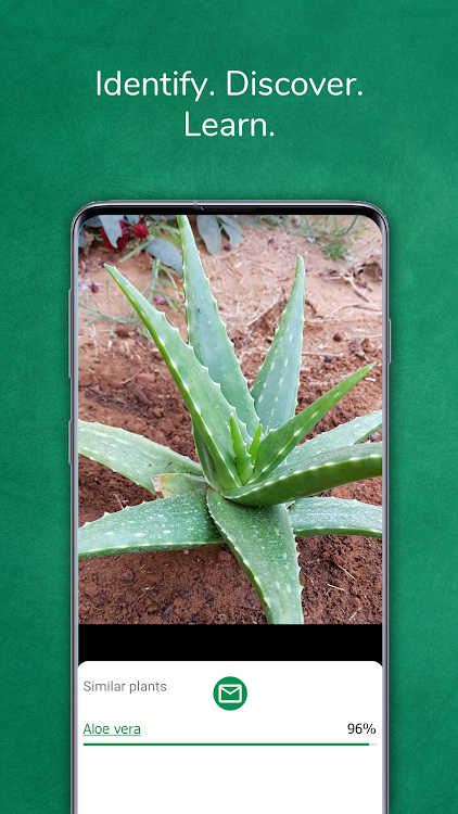 Plant identifier from photo - 0.11 - (Android)