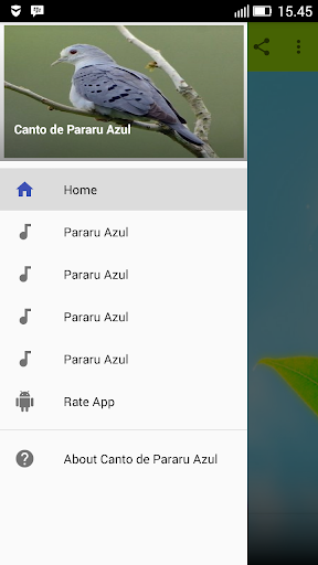 Canto de Pararu Azul