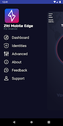 Ziti Mobile Edge Screen 2