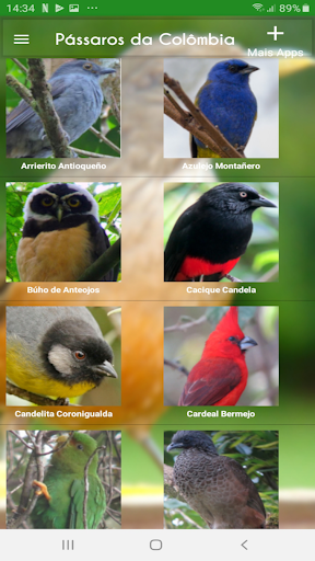 Android application Cantos de Passaros da Colombia screenshort