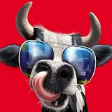 Cow Simulator : Crazy Rampage icon