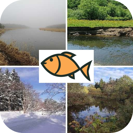 Fishing trips logo