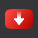 Video Downloader - Descargador