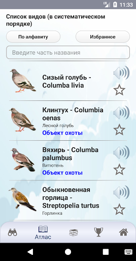 EcoGuide: Russian Birds Screen 3