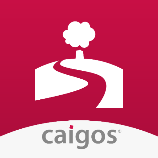 CAIGOS-Grün.app logo