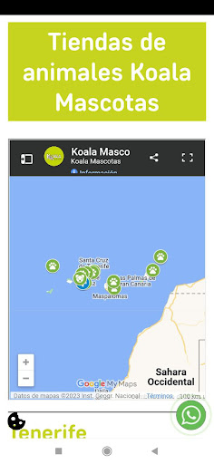 Koala Mascotas Screen 3