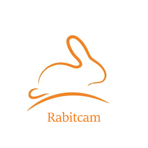 Rabitcam Download on Windows