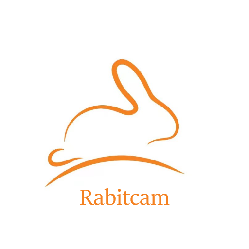 Rabitcam Scarica su Windows