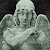Ammonite Design Studios