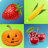 Fruits And Vegetables Quiz icon