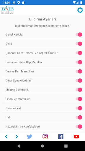 BAİB Screen 3
