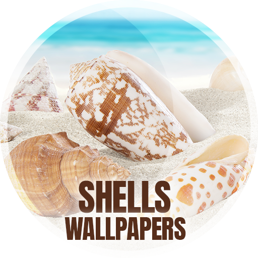 Тапети с черупки в 4K Изтегляне на Windows