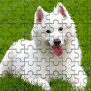 Puzzle Game : Jigsaw Puzzle, Picture Puzzle game
