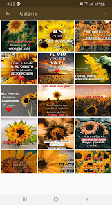 Captura de Pantalla 2 Girasoles de Amor con Frases R android