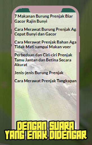 Suara Burung Prenjak