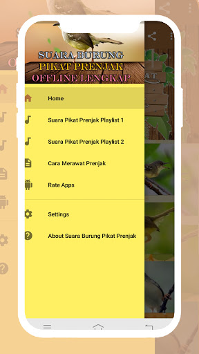 Suara Burung Prenjak Pikat Offline Lengkap