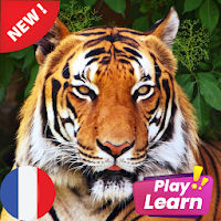 Learn Animals in French