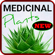 Remedies with medicinal plants