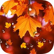 Autumn Maple Leaf Droplets Live Wallpaper