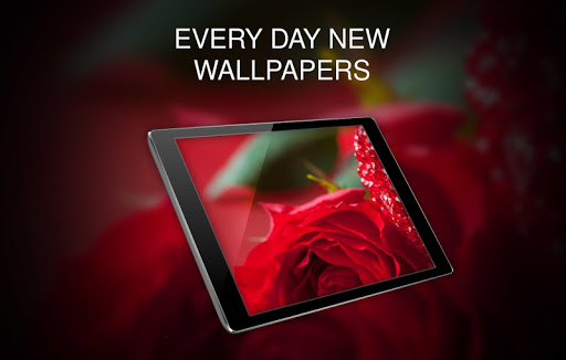 Wallpapers for Valentines Day